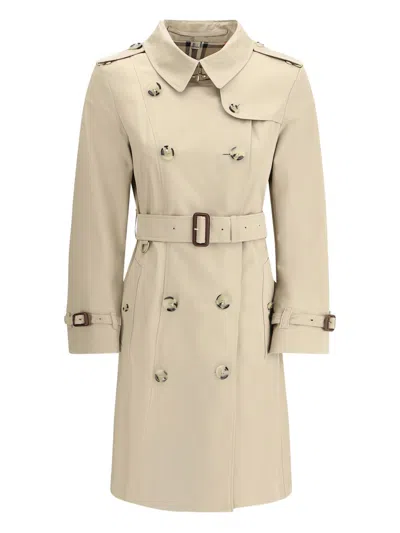 Burberry Chelsea Cotton Trench Coat In Neutral