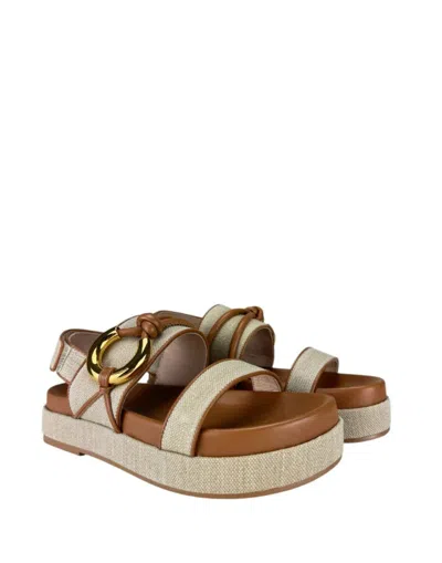 Coccinelle Carmy Canvas Bicolor In Multi