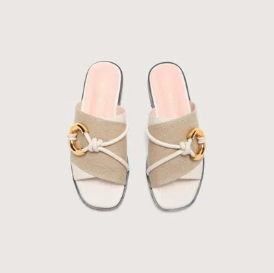 Coccinelle Carmy Canvas Bicolor In Multi