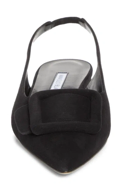 Manolo Blahnik Maylura Buckle Pointed Toe Slingback Flat In Multi