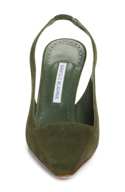 Manolo Blahnik Moirasli Pointed Toe Slingback Pump In Green