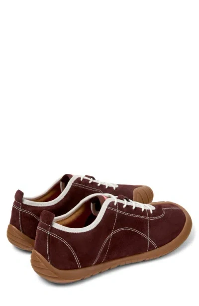 Camper Peu Path In Brown