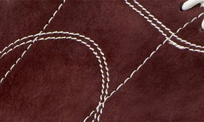 Camper Peu Path In Brown