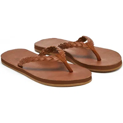Hari Mari Meadows Braided Flip Flop In Brown