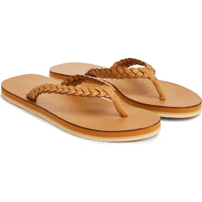 Hari Mari Meadows Braided Flip Flop In Brown