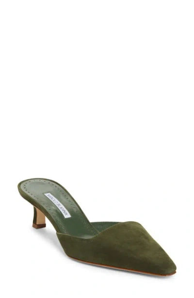 Manolo Blahnik Moiramu Pointed Toe Kitten Heel Mule In Green