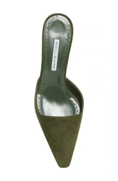 Manolo Blahnik Moiramu Pointed Toe Kitten Heel Mule In Green
