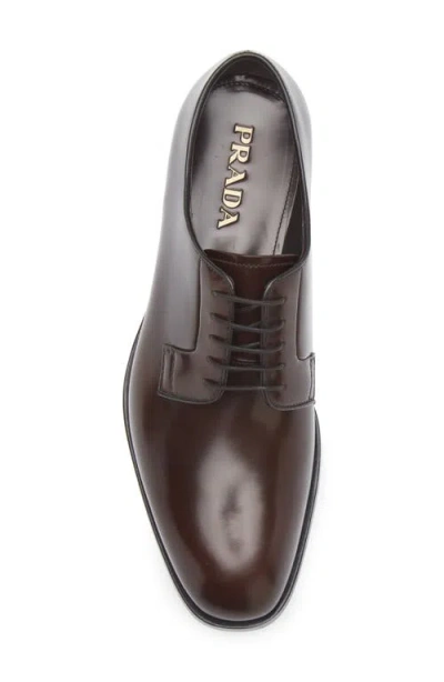 Prada Formale Spazzolato Plain Toe Derby In Brown