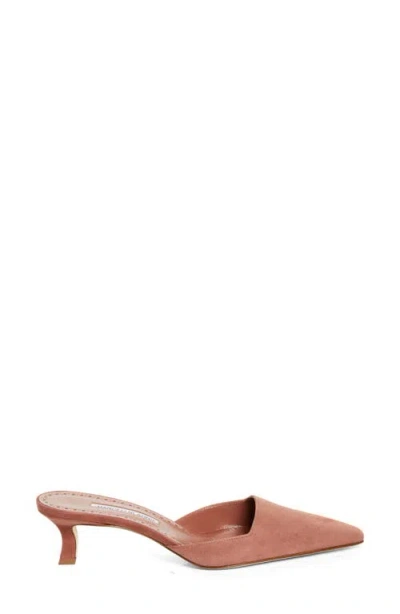 Manolo Blahnik Moiramu Pointed Toe Kitten Heel Mule In Brown