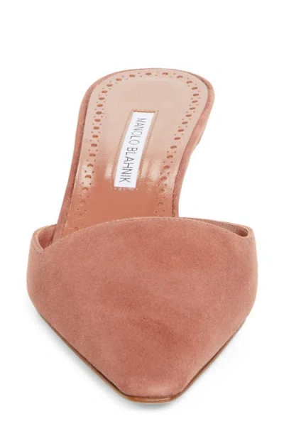 Manolo Blahnik Moiramu Pointed Toe Kitten Heel Mule In Brown