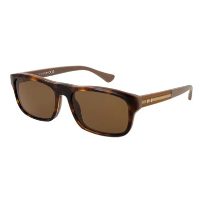 Web Brown Men Sunglasses In Brown