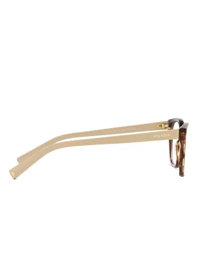 TORTOISESHELL SQUARE GLASSES