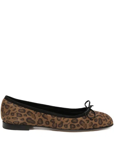 Manolo Blahnik Veralli Bow-detailed Leopard-print Suede Ballet Flats