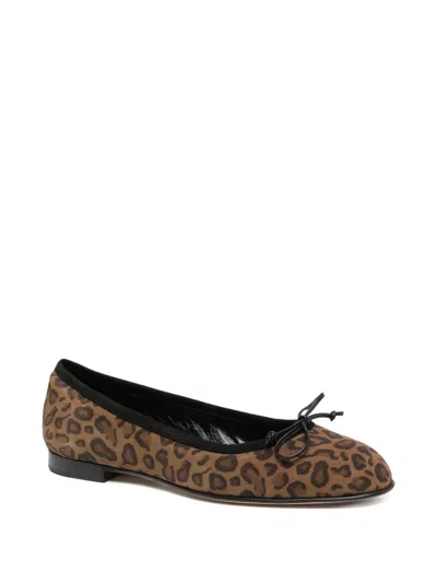 Manolo Blahnik Veralli Bow-detailed Leopard-print Suede Ballet Flats