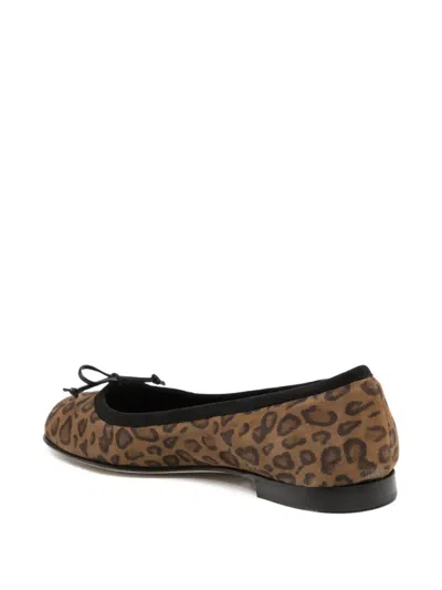Manolo Blahnik Veralli Bow-detailed Leopard-print Suede Ballet Flats