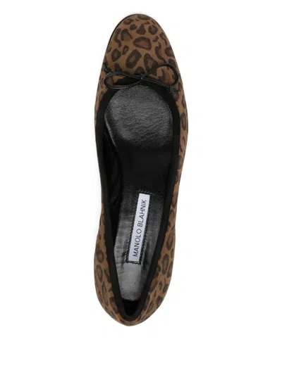 Manolo Blahnik Veralli Bow-detailed Leopard-print Suede Ballet Flats