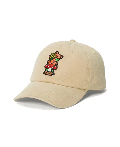 Junk Food Clothing Grateful Dead Bear Hat In Neutral