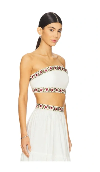 Rosewater House Carnation Crop Top