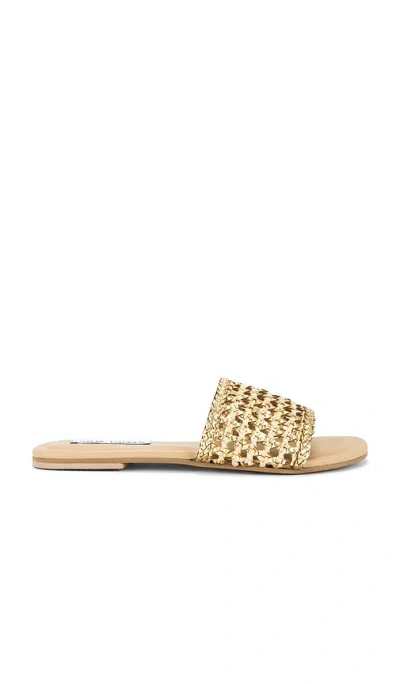 Steve Madden Gulf Slides In Gold