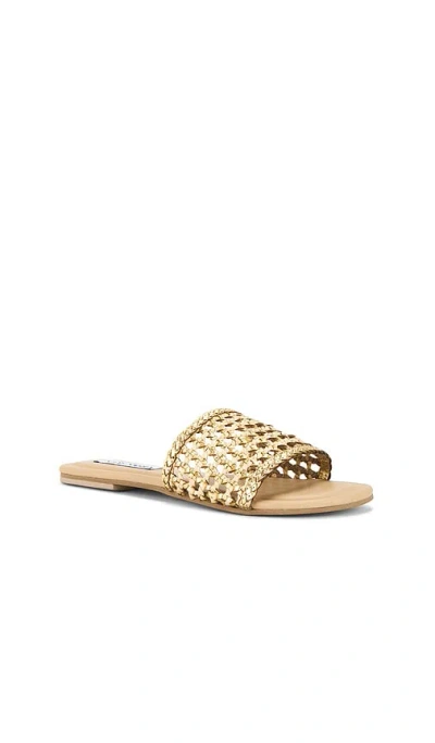 Steve Madden Gulf Slides In Gold