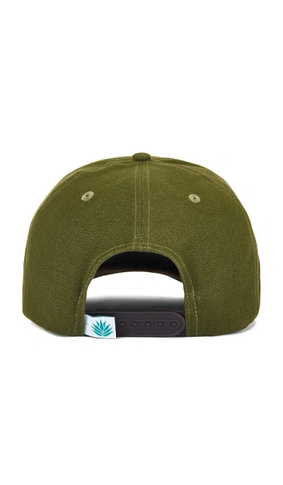 Sendero Provisions Co. Elk Cap In Green