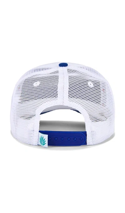 Sendero Provisions Co. Easy Does It Cap In White