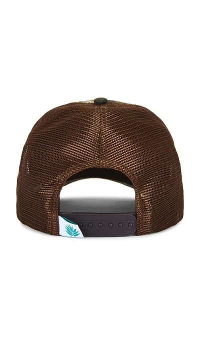 Sendero Provisions Co. Country Store Cap In Brown