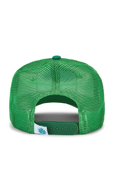 Sendero Provisions Co. Cowboy Pro Shop Cap In White