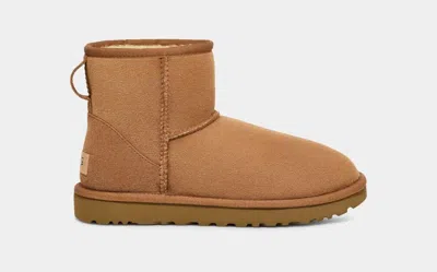 Ugg Flats In Brown