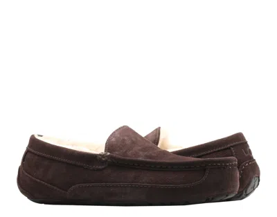 Ugg Ascot Slipper Cozy Athleisure Casual Sports Shoe Brown Fleece Lined