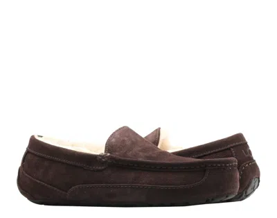 Ugg Ascot Slipper Cozy Athleisure Casual Sports Shoe Brown Fleece Lined