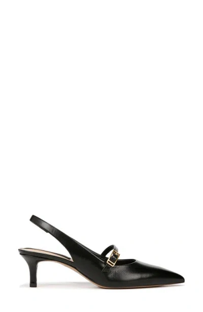 Franco Sarto Khloe Slingback Pointed Toe Pump