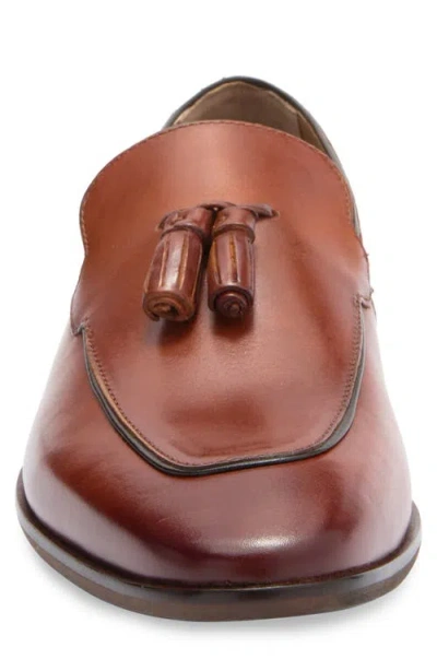 Steve Madden Hypens Tassel Loafer In Brown