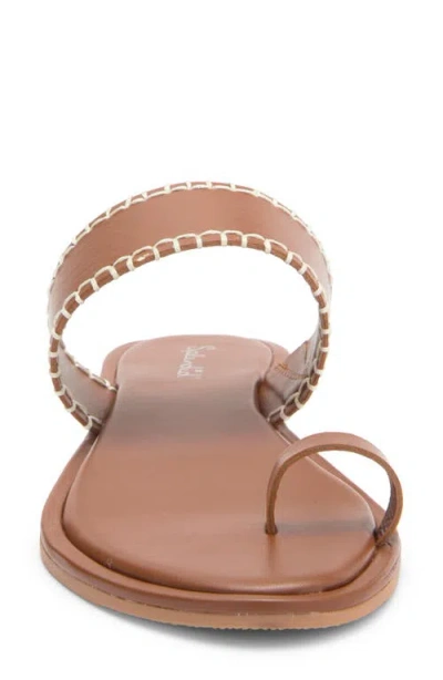 Splendid Yuna Toe Loop Sandal In Brown