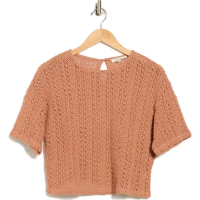 Splendid Finley Crochet Short-sleeve Crop Top In Brown