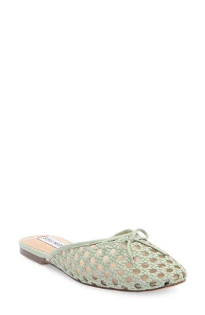 Steve Madden Birdee Raffia Mule
