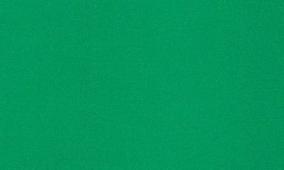 Cult Gaia Denisse Knit Skirt In Green
