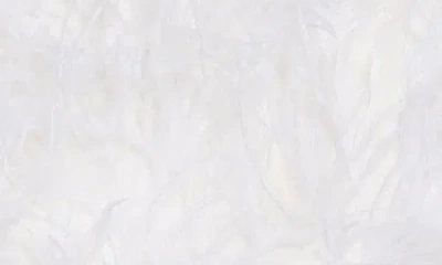 Cult Gaia Sosha Off The Shoulder Feather Silk Top In White