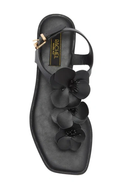 Rachel Rachel Roy Daisy Floral T-strap Sandal In Black