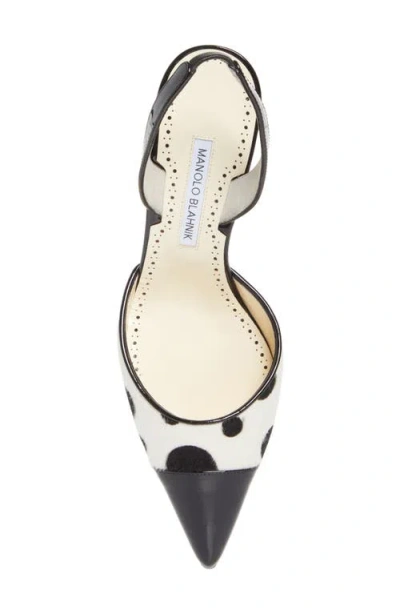Manolo Blahnik Capsli Pointed Toe Slingback Pump In White
