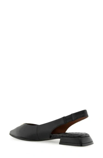Aerosoles Nayana Pointed Toe Slingback Flat In Black