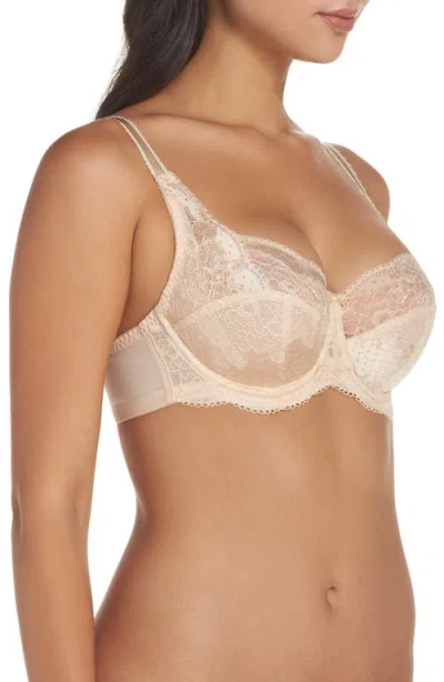 Panache Clara Underwire Full Coverage Stretch Lace Bra In Neutral