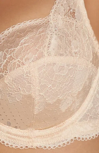 Panache Clara Underwire Full Coverage Stretch Lace Bra In Neutral