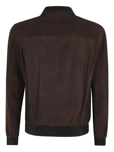 Stewart Leather Jacket In Brown
