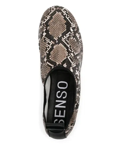 Senso Cassidy Ballet Flats In Animal Print