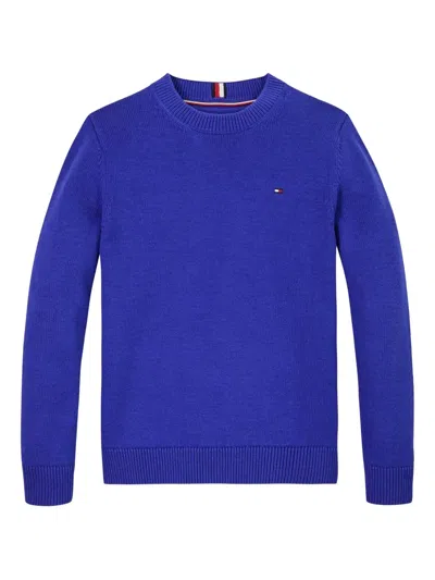 Tommy Hilfiger Junior Embroidered-logo Sweater In Blue