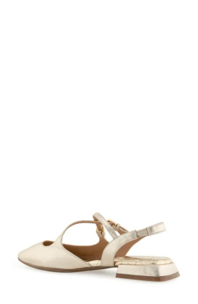 Aerosoles Napoli Pointed Toe Slingback Flat