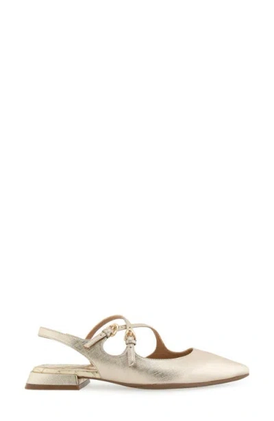 Aerosoles Napoli Pointed Toe Slingback Flat
