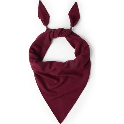 Brunello Cucinelli Scarf With Monili In Burgundy
