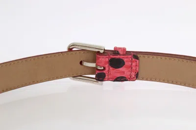 Dolce & Gabbana Pink Polka Snakeskin Silver Buckle Belt In Pink